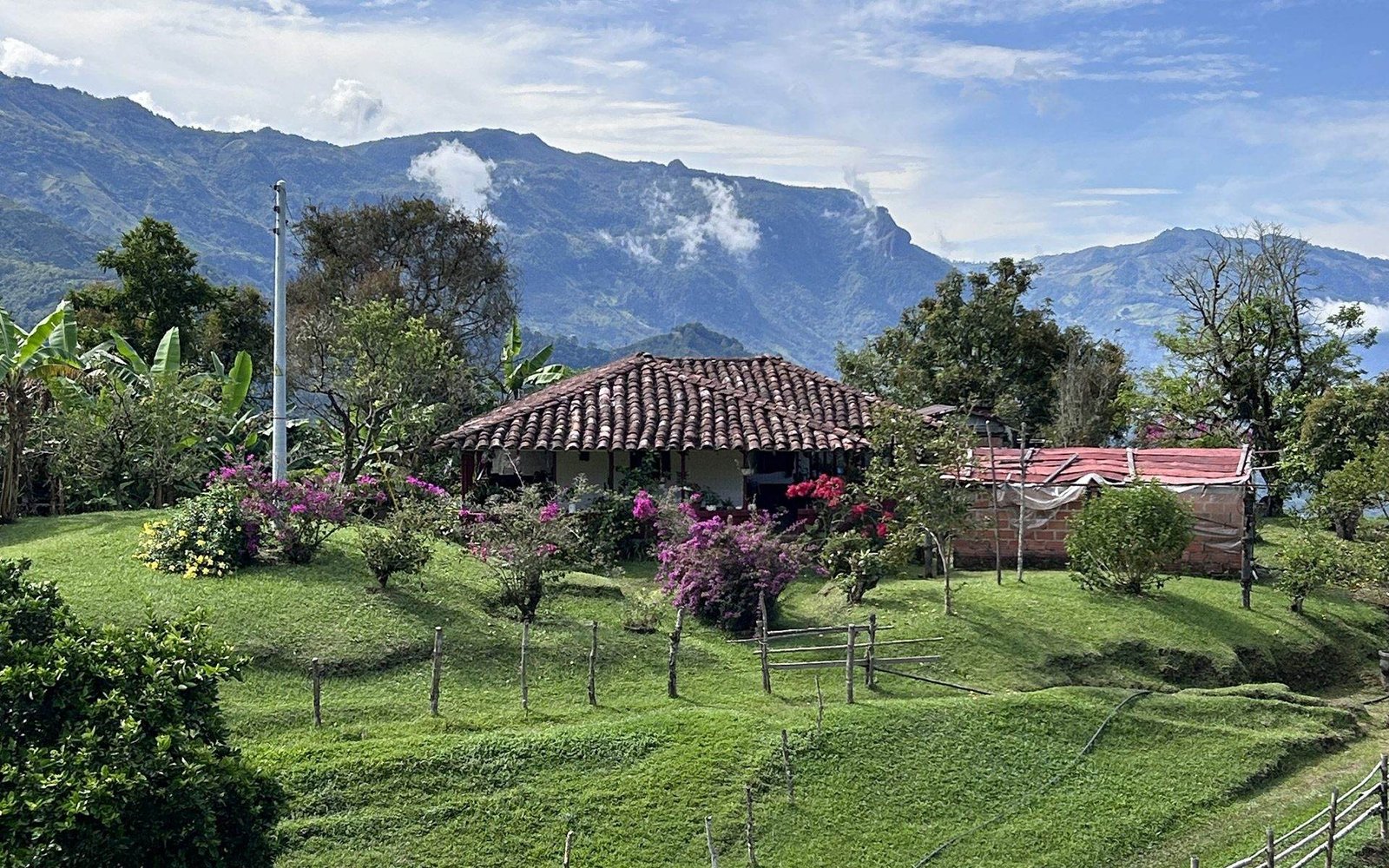 Café de especialidad colombiano recién tostado
