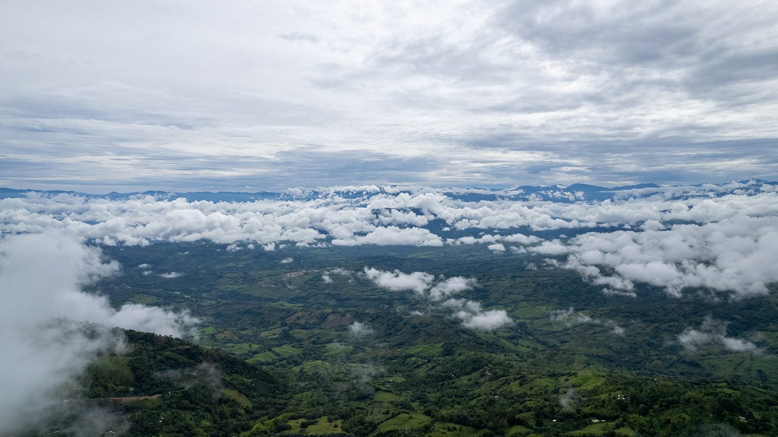 Café de Támesis, Antioquia